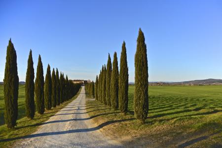 Campagna di Asciano